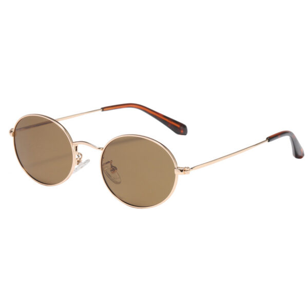 عینک آفتابی مدل ZC122C02-P111 Polarized Vintage Metal